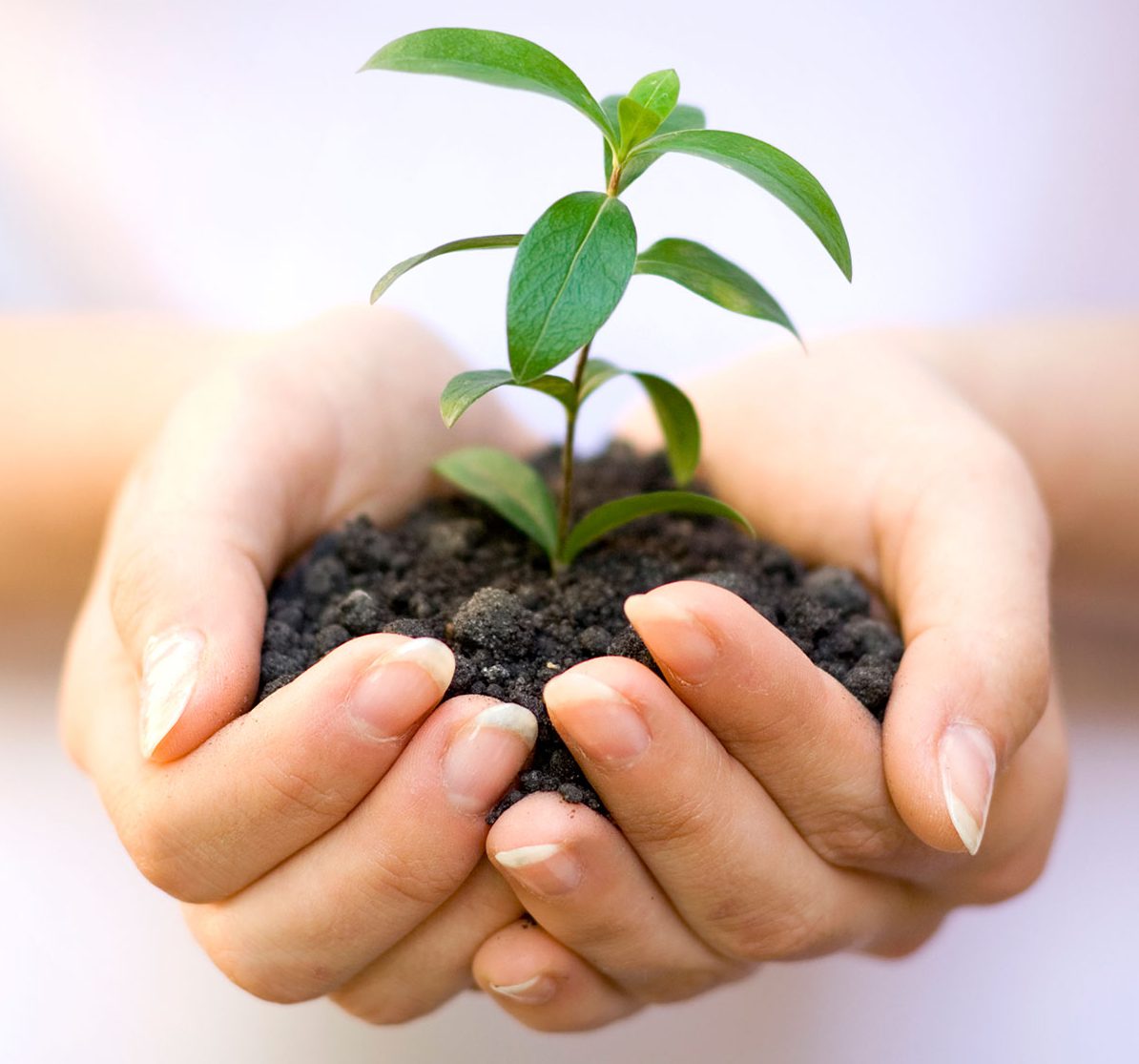 North Shore Center for ADHD and Learning